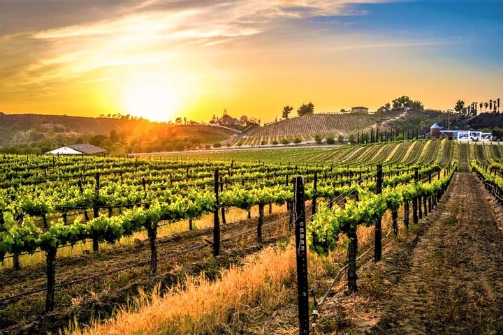 Private Temecula Excursion from Anaheim, Irvine, Newport Beach - Photo 1 of 6